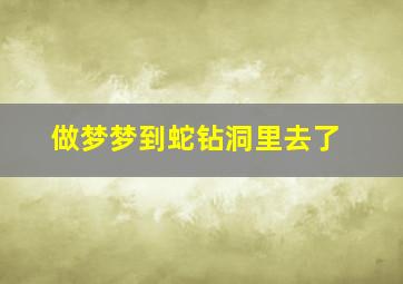 做梦梦到蛇钻洞里去了