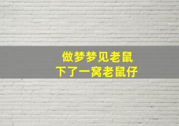 做梦梦见老鼠下了一窝老鼠仔