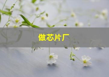 做芯片厂