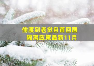 偷渡到老挝自首回国隔离政策最新11月