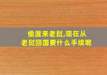 偷渡来老挝,现在从老挝回国要什么手续呢