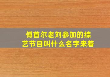 傅首尔老刘参加的综艺节目叫什么名字来着