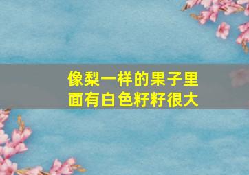 像梨一样的果子里面有白色籽籽很大