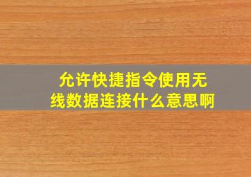 允许快捷指令使用无线数据连接什么意思啊