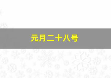 元月二十八号