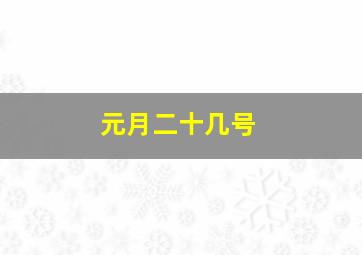 元月二十几号