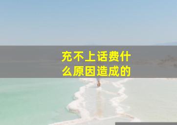 充不上话费什么原因造成的