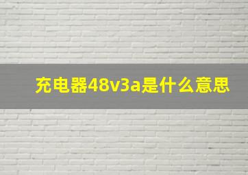 充电器48v3a是什么意思