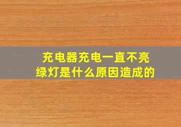 充电器充电一直不亮绿灯是什么原因造成的