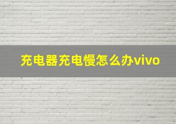 充电器充电慢怎么办vivo