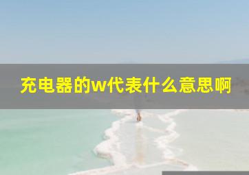 充电器的w代表什么意思啊