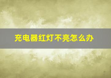 充电器红灯不亮怎么办