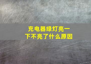 充电器绿灯亮一下不亮了什么原因