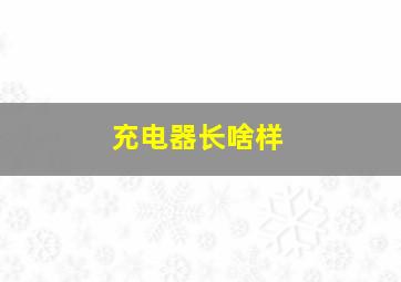 充电器长啥样