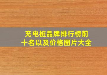 充电桩品牌排行榜前十名以及价格图片大全