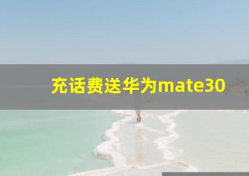 充话费送华为mate30