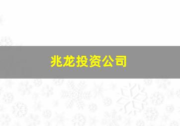 兆龙投资公司