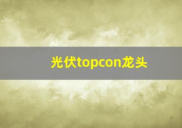 光伏topcon龙头