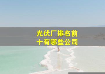 光伏厂排名前十有哪些公司