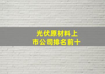 光伏原材料上市公司排名前十