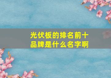 光伏板的排名前十品牌是什么名字啊