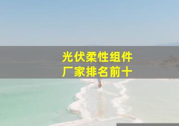 光伏柔性组件厂家排名前十