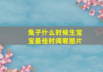 兔子什么时候生宝宝最佳时间呢图片