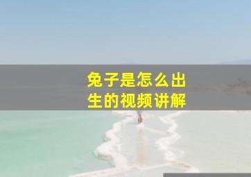 兔子是怎么出生的视频讲解