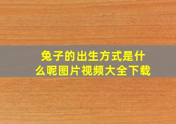 兔子的出生方式是什么呢图片视频大全下载