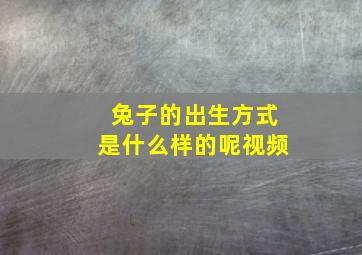 兔子的出生方式是什么样的呢视频