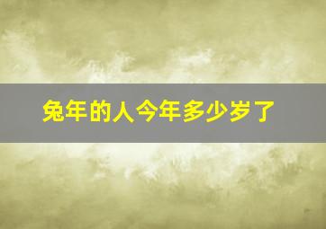 兔年的人今年多少岁了