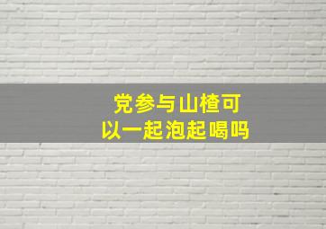 党参与山楂可以一起泡起喝吗