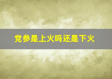 党参是上火吗还是下火