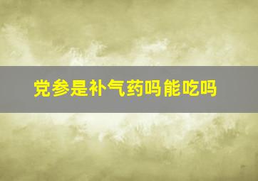 党参是补气药吗能吃吗