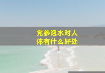 党参泡水对人体有什么好处