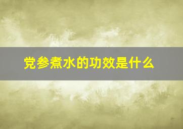 党参煮水的功效是什么