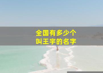 全国有多少个叫王宇的名字