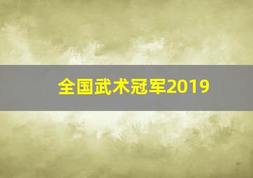 全国武术冠军2019