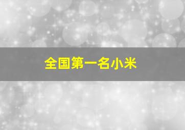 全国第一名小米