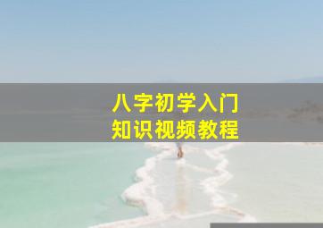 八字初学入门知识视频教程