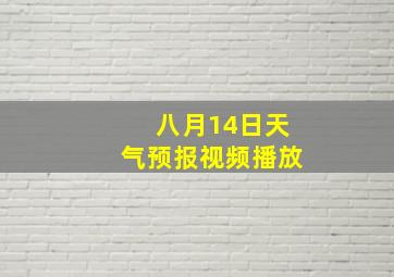 八月14日天气预报视频播放