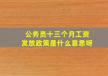 公务员十三个月工资发放政策是什么意思呀