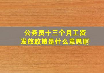 公务员十三个月工资发放政策是什么意思啊