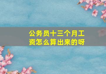 公务员十三个月工资怎么算出来的呀