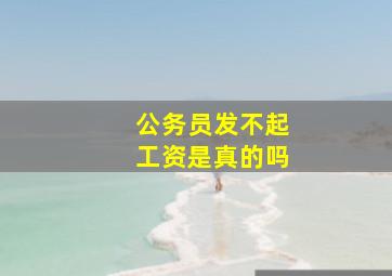 公务员发不起工资是真的吗