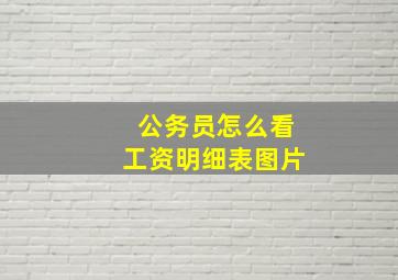 公务员怎么看工资明细表图片