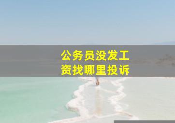 公务员没发工资找哪里投诉