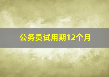 公务员试用期12个月