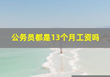 公务员都是13个月工资吗