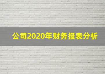 公司2020年财务报表分析